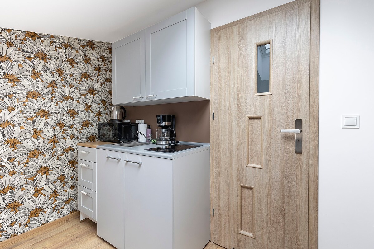 Apartament 102